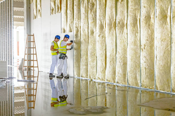 Best Attic Insulation Installation  in Grafton, WI