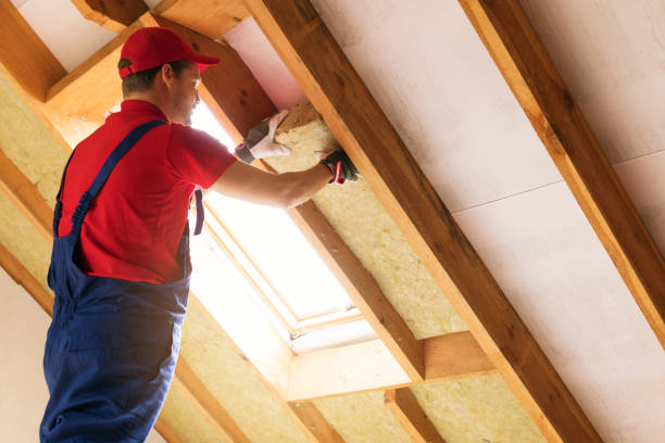 Best Attic Insulation Installation  in Grafton, WI